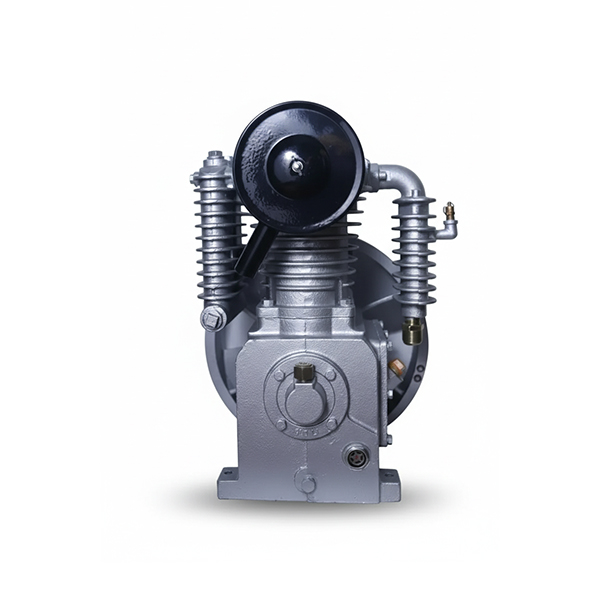 Поршневий блок (вузол насоса) FB1105Т, 5,5 кВт